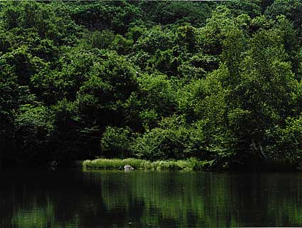 a pond(32k)